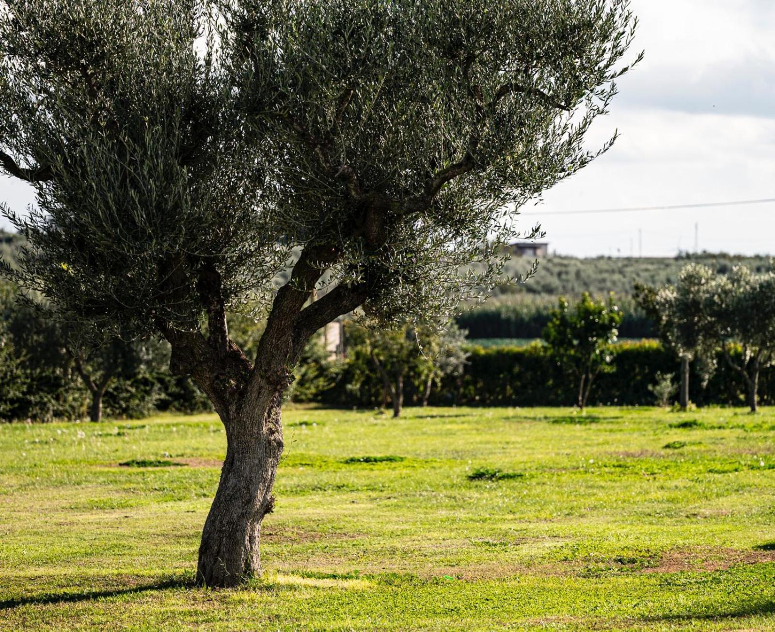 La Massaria Agriresort Orta Nova 외부 사진