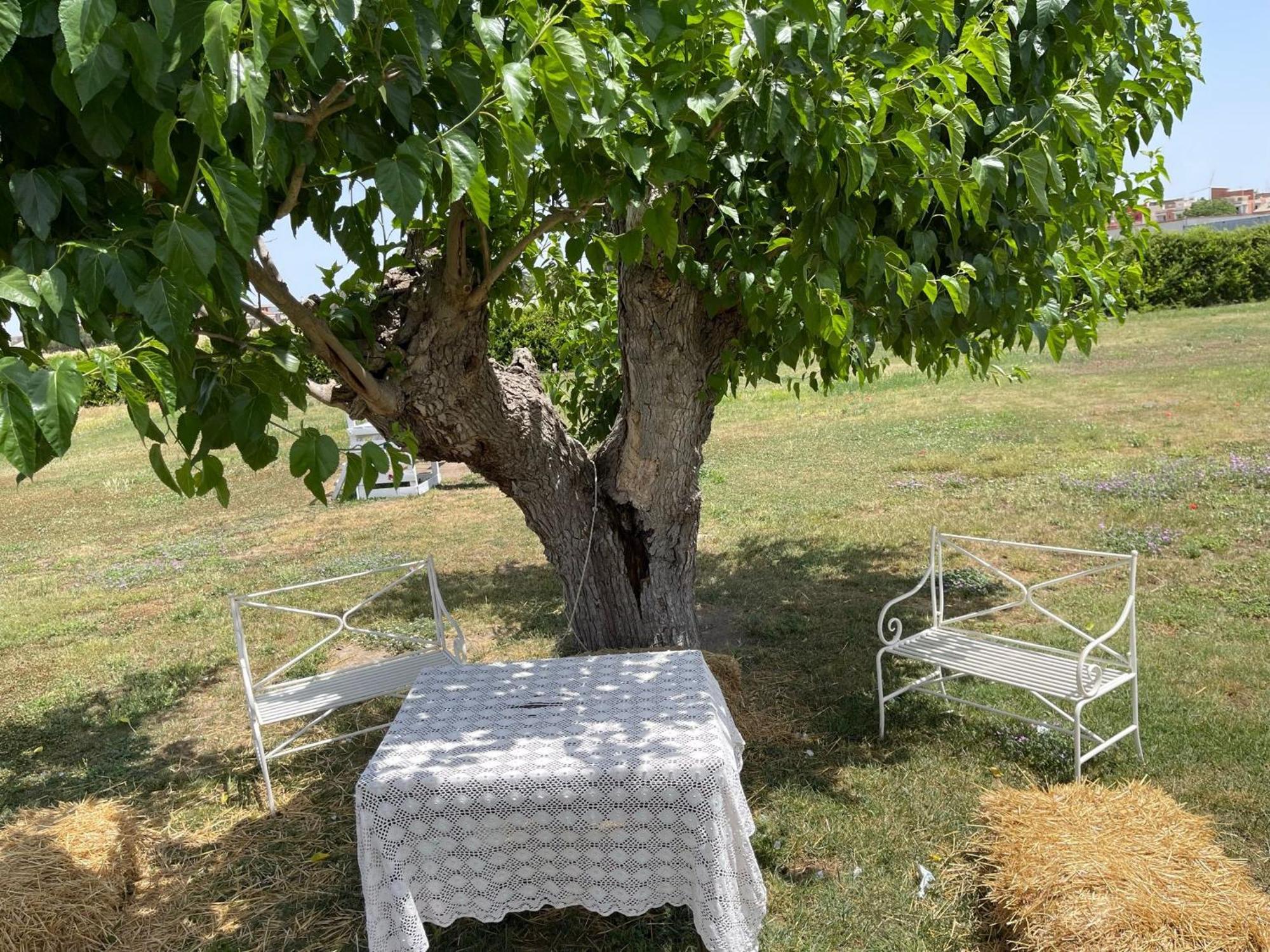 La Massaria Agriresort Orta Nova 외부 사진