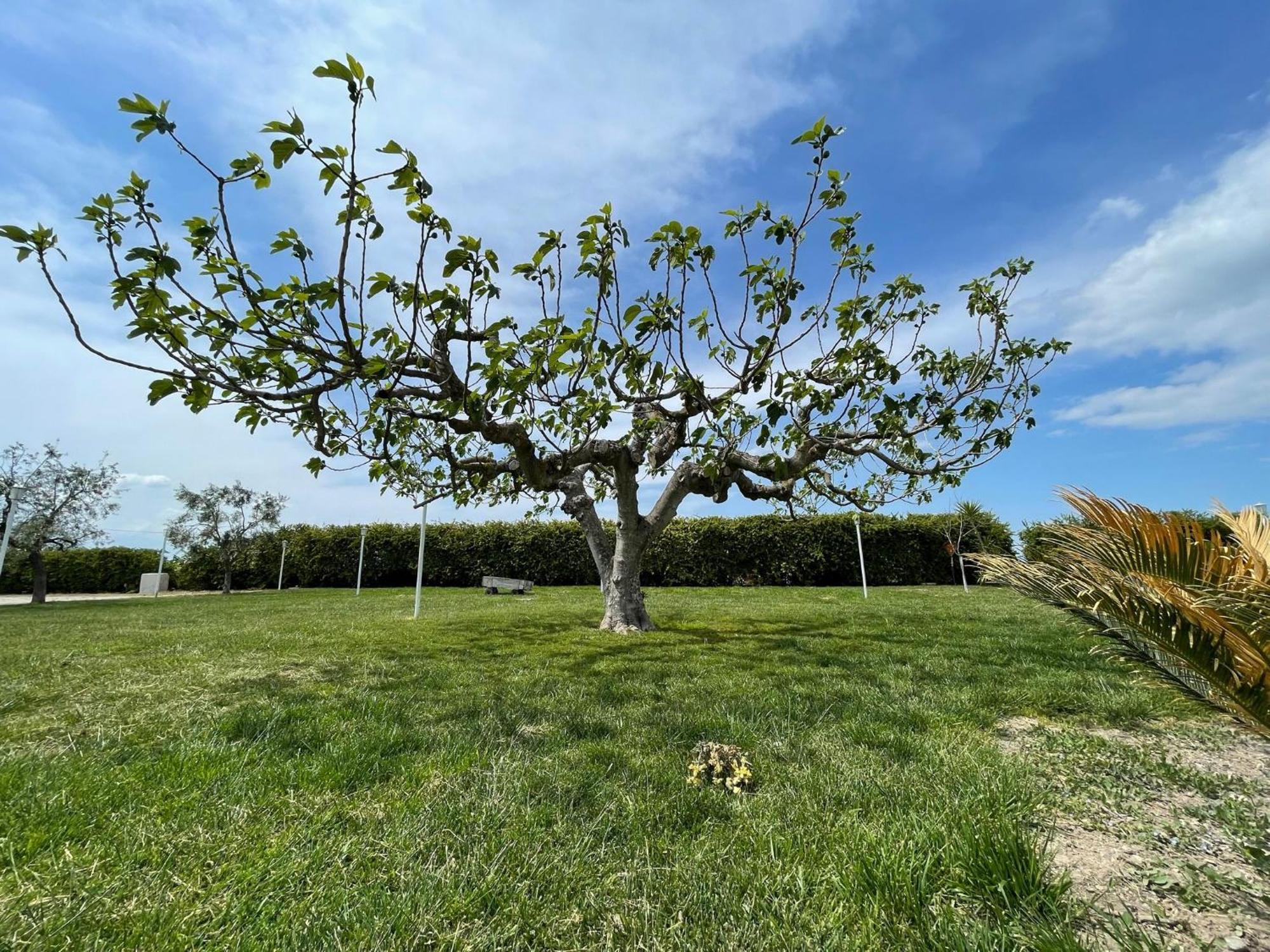 La Massaria Agriresort Orta Nova 외부 사진