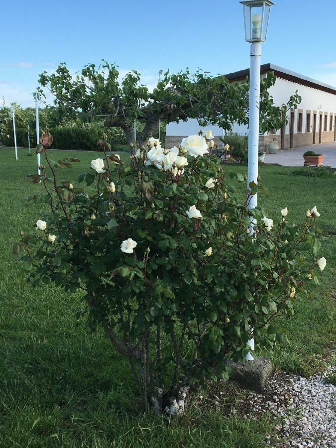 La Massaria Agriresort Orta Nova 외부 사진